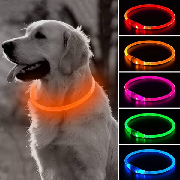 Bseen Dog Collar